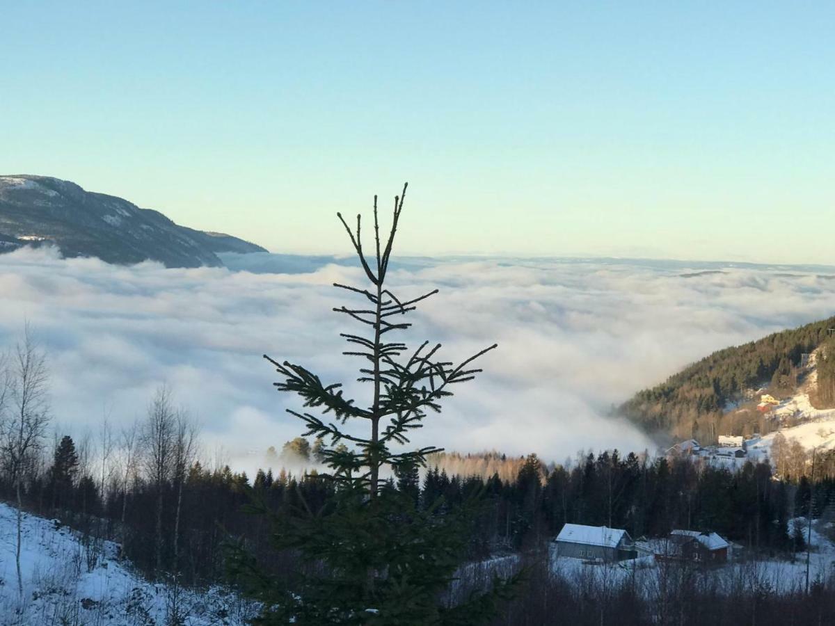 Luxury Mountain Villa Strandlykkja Exteriör bild